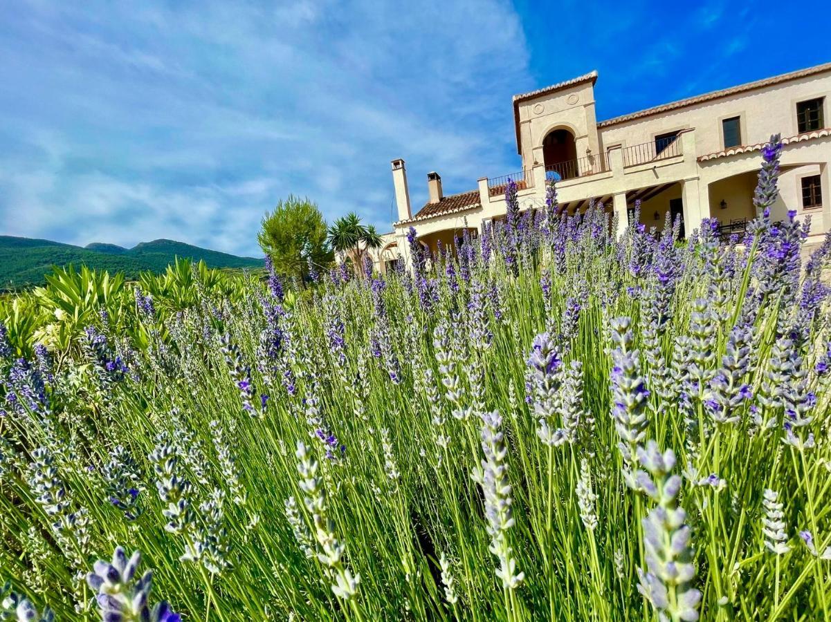 La Esperanza Granada Luxury Hacienda & Private Villa Saleres Exterior photo